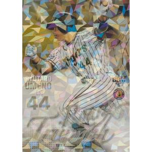 BBM 2019 阪神タイガース 梅野隆太郎 /50 パラレル RT5 主力野手