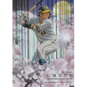 12 【ダルビッシュ有/北海道日本ハムファイターズ】2005 BBM ルーキー