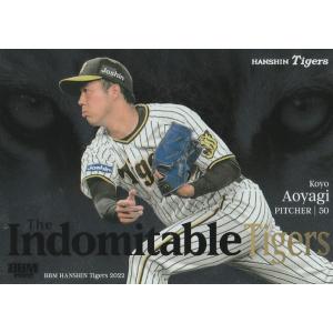 ドラゴンボールヒーローズ PR ゴテンクス：青年期 【バーニングかめ