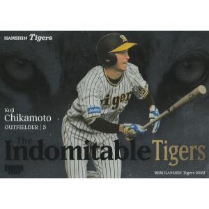 BBM 2023 阪神タイガース 大山悠輔 /150 パラレル NB5 Never Better
