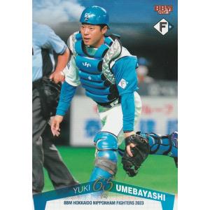 開運コロシアム SP01-006 幸道十二宮バルジー (大吉) スペシャル