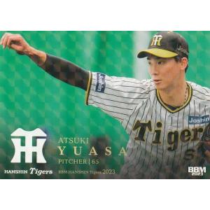 BBM 2023 阪神タイガース 湯浅京己 T29 キラカード