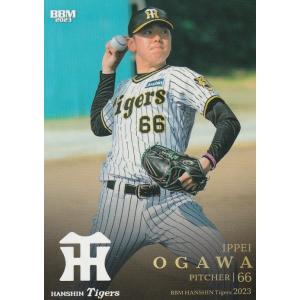BBM 2023 阪神タイガース 小川一平 T30 レギュラー