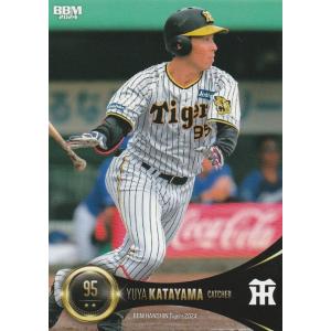 BBM2010 阪神タイガース レギュラーカード No.T094 木戸克彦