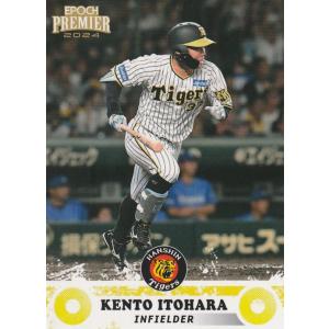 EPOCH 2024 阪神タイガース PE 糸原健斗 30 レギュラーカード