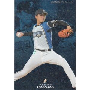 カルビー 2023プロ野球チップス第2弾 S-46 菊池涼介(広島