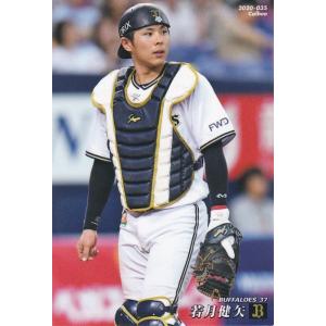 カルビー1994 プロ野球チップス 北海道・山陽・九州地域限定 No