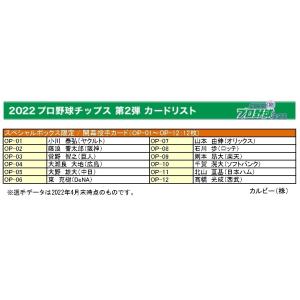 カルビー 2025プロ野球チップス第2弾 S-30 宮崎敏郎（DeNA） スター