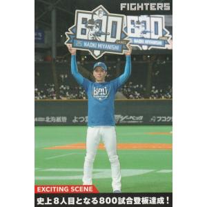 新品未使用ファイル付き　２０２１プロ野球チップスカード　第一弾　合計２０３枚 新品未使用ファイル付き 2021プロ野球チップスカード 第一弾