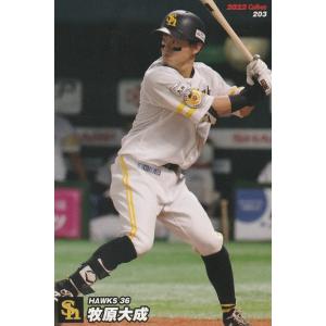 BBM 2025 1st 田中晴也 /100 青箔版 J18 JAPONISM : トレカショップ 