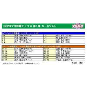 沖悠哉】2025 清水エスパルス オフィシャルカード [直筆サインカード