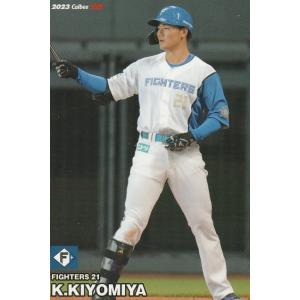 プロ野球カード　まとめ売り　ホームランバーカード　カルビーカード　阪神　西武 カルビープロ野球カード1974年版NO.373阪神タイガース田淵幸一