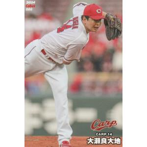 燃え続けた14年間　カルビー株式会社 プロ野球カード 長嶋茂雄 2025年最新】カルビープロ野球カード 長嶋茂雄の人気アイテム