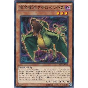 遊戯王 SPFE-JP042 簡易融合 ノーマル : トレカショップ CLEAR FILE