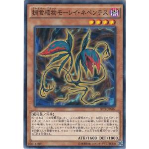 遊戯王 SPFE-JP042 簡易融合 ノーマル : トレカショップ CLEAR FILE