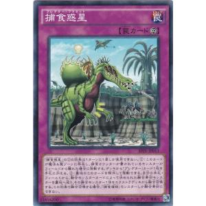 遊戯王 SPFE-JP042 簡易融合 ノーマル : トレカショップ CLEAR FILE