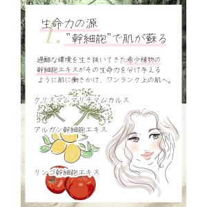 クリアジーノ お試し 導入美容液 ダーマステム...の詳細画像2