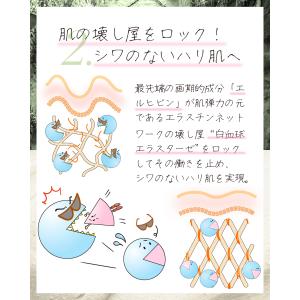 クリアジーノ お試し 導入美容液 ダーマステム...の詳細画像3