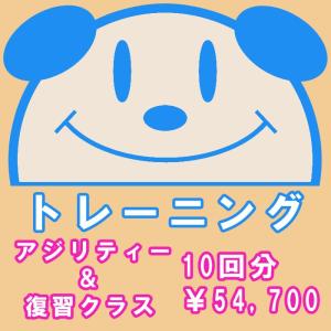 犬用 トレーニングアジリティー・復習クラス回数券 10回分