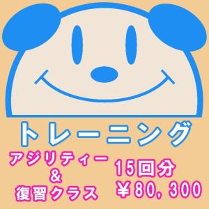 犬用 トレーニングアジリティー・復習クラス回数券 15回分
