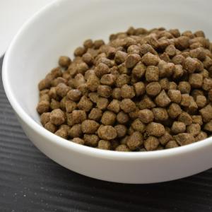 犬用 プレミアムドッグフード グレイスワン パ...の詳細画像1