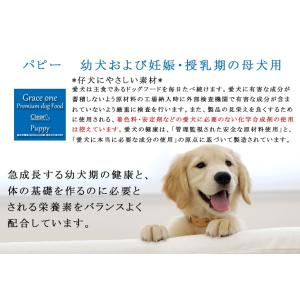犬用 プレミアムドッグフード グレイスワン パ...の詳細画像3