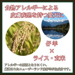 犬用 プレミアムドッグフード グレイスワン ラ...の詳細画像1