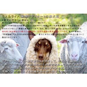 犬用 プレミアムドッグフード グレイスワン ラ...の詳細画像3