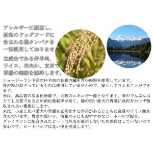 犬用 プレミアムドッグフード グレイスワン ラ...の詳細画像4