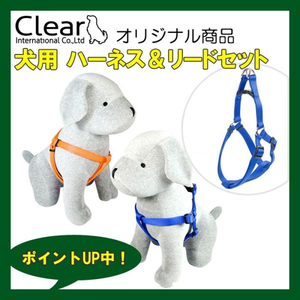 犬用 ハーネス＆リードセット  サイズS  簡単 仔犬 入門 シンプル 7カラー Clear ppa...