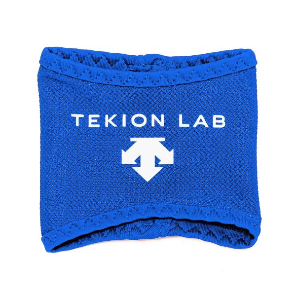 DESCENTE(デサント) 暑熱対策用グローブ 両手用 適温蓄冷材付き コアクーラー ブルー フリ...