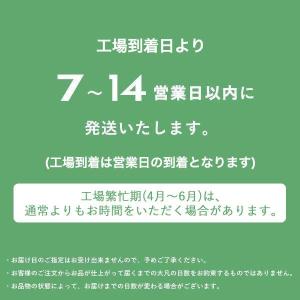 衣類 宅配クリーニング 詰め放題 5点まで シ...の詳細画像5