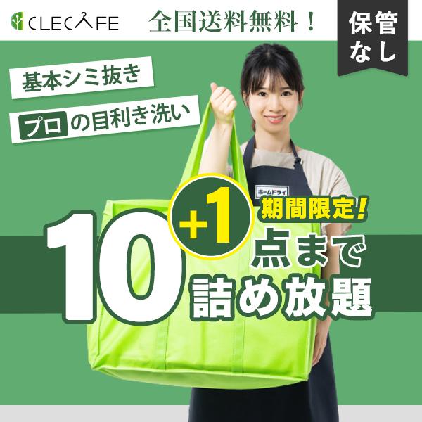衣類 宅配クリーニング 詰め放題 10点+1まで シミ抜き プロの目利き洗い 全国送料無料 レギュラ...