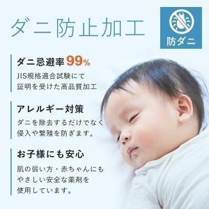 羽毛 布団 宅配クリーニング 2枚 防ダニ・基...の詳細画像1
