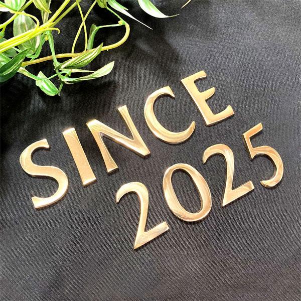 送料無料 真鍮 ゴールド SINCE2025 セット 大文字 真鍮 レター ナンバー アルファベット...