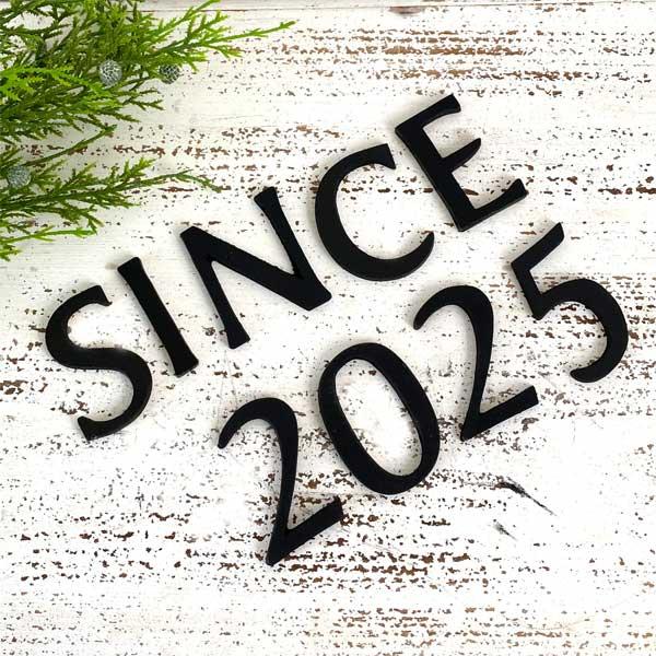 送料無料 真鍮 ブラック SINCE2025 セット 大文字 真鍮 レター ナンバー アルファベット...