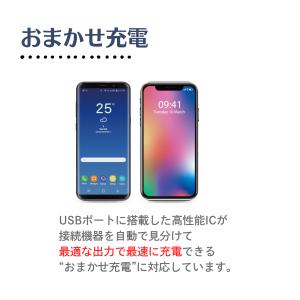 安全性の高い リン酸鉄モバイルバッテリー 12...の詳細画像5