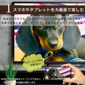 HDMIケーブル ミラーリング 変換 SWIT...の詳細画像1