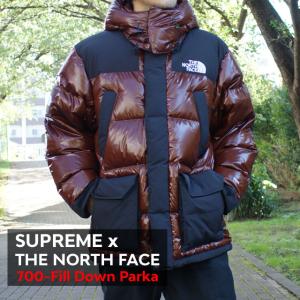 新品 シュプリーム SUPREME x ザ ノースフェイス THE NORTH FACE 700-Fill Down Parka BROWN 226000253036 OUTER