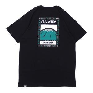 north face kilimanjaro shirt