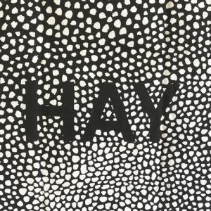 【送料無料】HAY ヘイ トートバッグ キャン...の詳細画像4