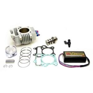 クリッピングポイント製 ボアアップ115ccキット 適合：エイプ100TypeD
