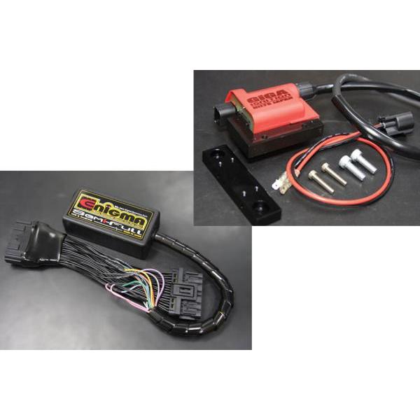 DILTS JAPAN製 Enigma SemiFull with GIGAイグニションコイル 適合...