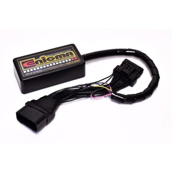 DILTS JAPAN製 ENIGMA type RTF 適合：FIプレスカブ50(AA01)