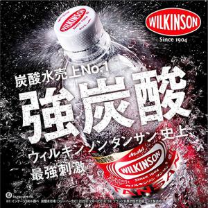 期間限定特価 送料無料 ウィルキンソン 炭酸水...の詳細画像1