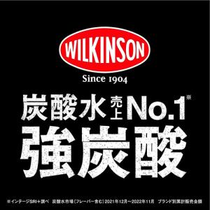 期間限定特価 送料無料 ウィルキンソン 炭酸水...の詳細画像2