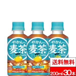 爽健美茶 ラベルレス 600ml 24本入1ケース/お茶 カフェインゼロ ノン