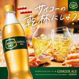 全国配送対応 送料無料 コカ・コーラ カナダド...の詳細画像2