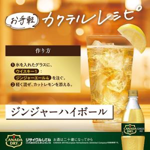 全国配送対応 送料無料 コカ・コーラ カナダド...の詳細画像3
