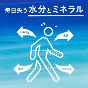 全国配送対応 送料無料 コカ・コーラ アクエリ...の詳細画像2
